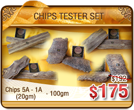 Chips Tester Set