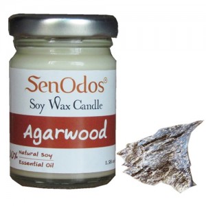 Agarwood Soy Candle 45g