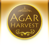 AgarHarvest